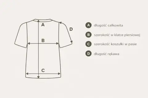 Schemat pokazuje, jak dobrać rozmiar t-shirt: długość całkowita (A), szerokość w klatce (B), szerokość w pasie (C) i długość rękawa (D).