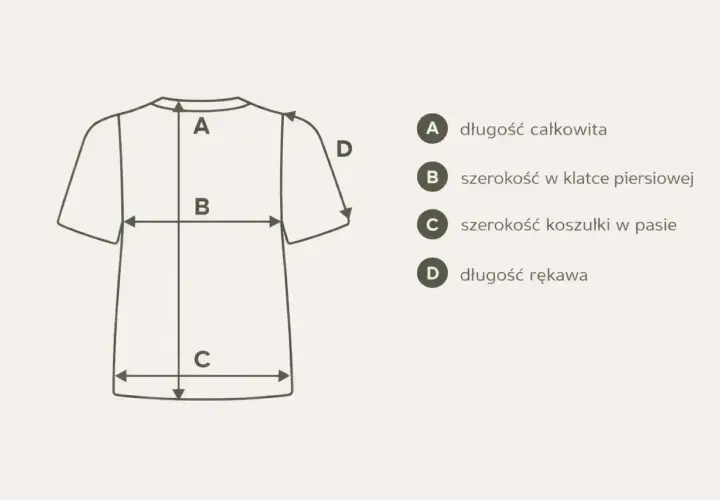 Schemat pokazuje, jak dobrać rozmiar t-shirt: długość całkowita (A), szerokość w klatce (B), szerokość w pasie (C) i długość rękawa (D).